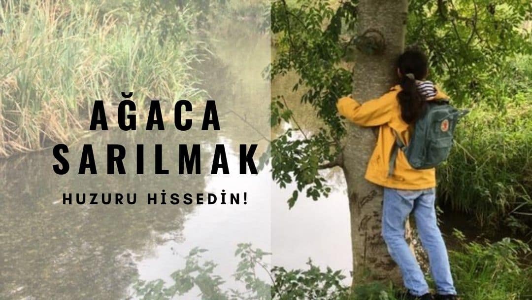 Ağaca Sarılmak