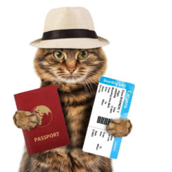 Pet Passport